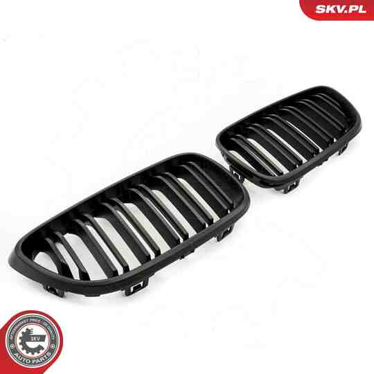 66SKV034 - Radiator Grille 