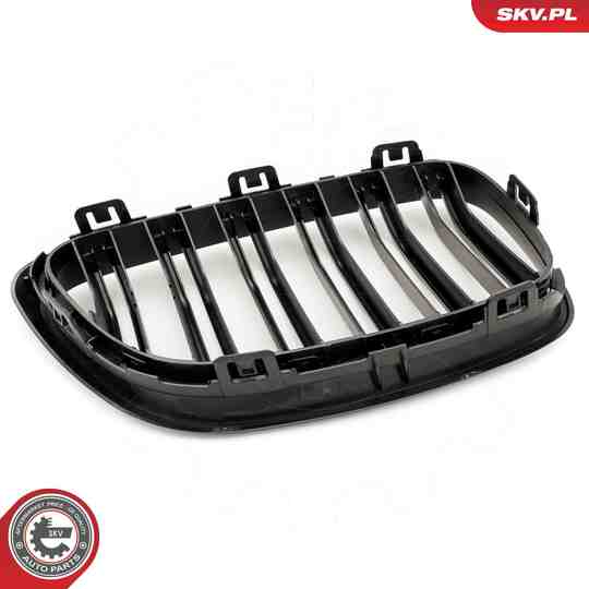 66SKV034 - Radiator Grille 