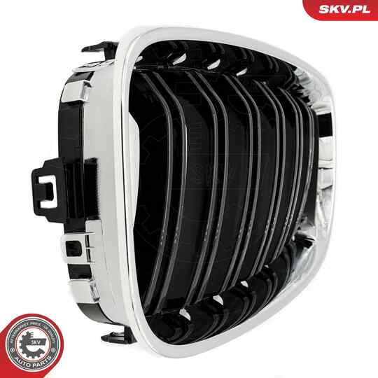 66SKV134 - Radiator Grille 