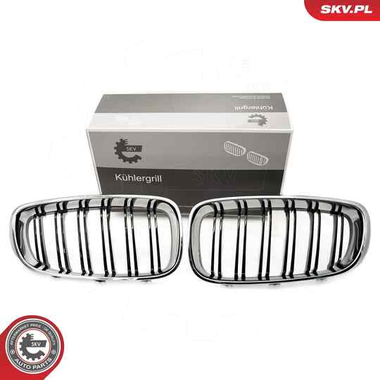 66SKV134 - Radiator Grille 