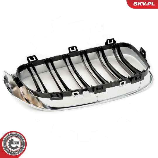 66SKV134 - Radiator Grille 