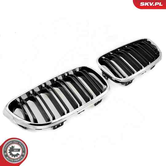 66SKV033 - Radiator Grille 