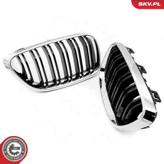 66SKV033 - Radiator Grille 