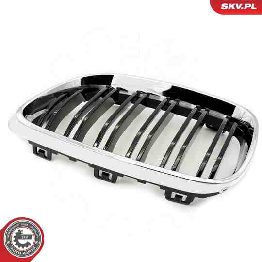 66SKV033 - Radiator Grille 