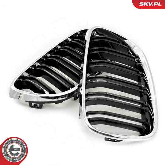 66SKV033 - Radiator Grille 