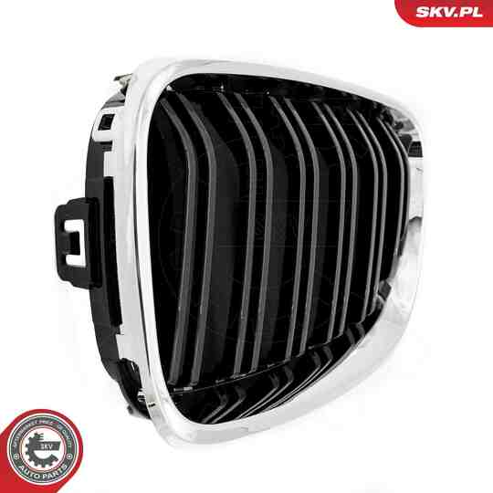 66SKV033 - Radiator Grille 