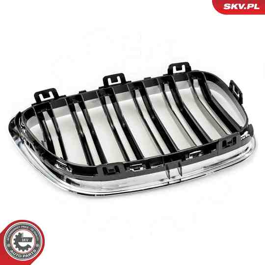 66SKV033 - Radiator Grille 