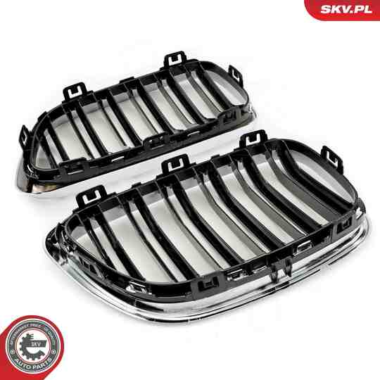 66SKV033 - Radiator Grille 