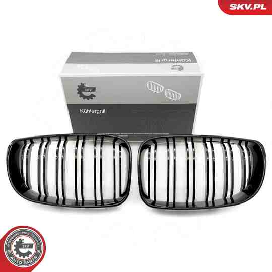 66SKV009 - Radiator Grille 