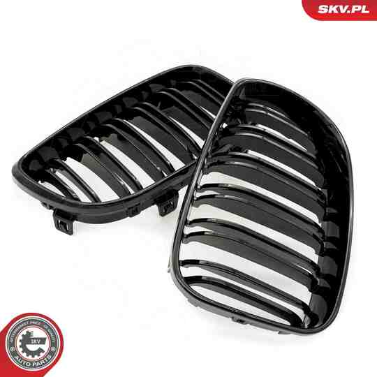 66SKV009 - Radiator Grille 