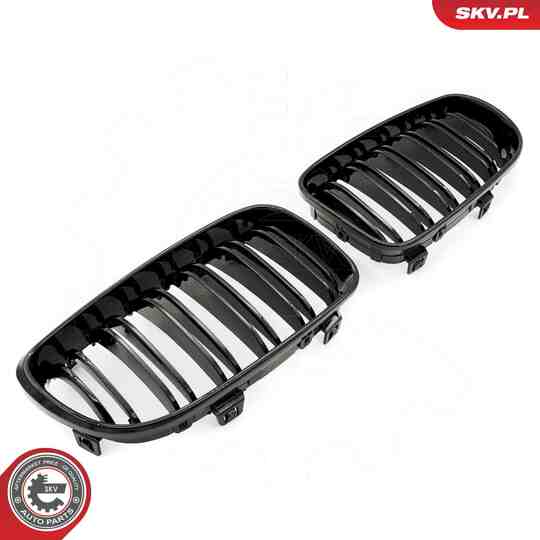 66SKV009 - Radiator Grille 