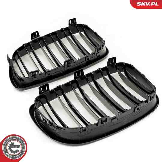 66SKV009 - Radiator Grille 