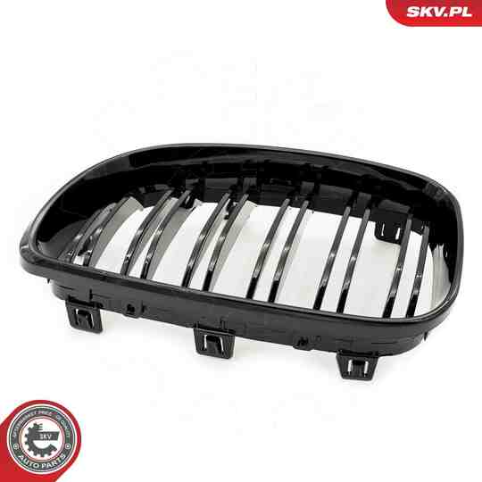 66SKV009 - Radiator Grille 