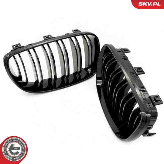 66SKV009 - Radiator Grille 