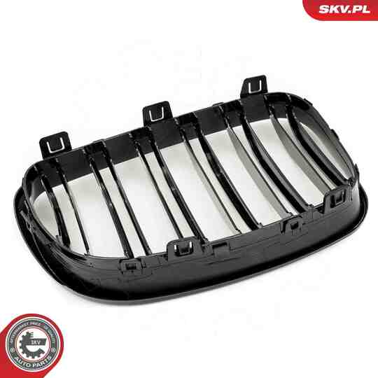 66SKV009 - Radiator Grille 