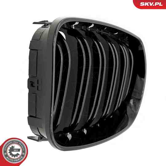 66SKV009 - Radiator Grille 