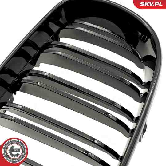 66SKV009 - Radiator Grille 