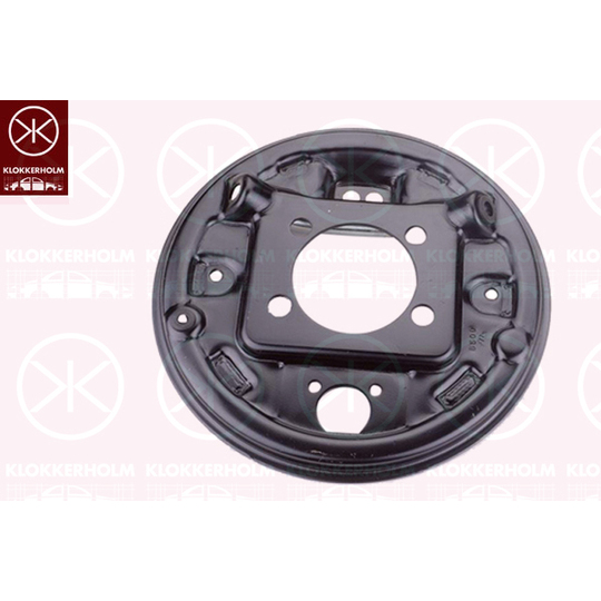 8155875 - Splash Panel, brake disc 