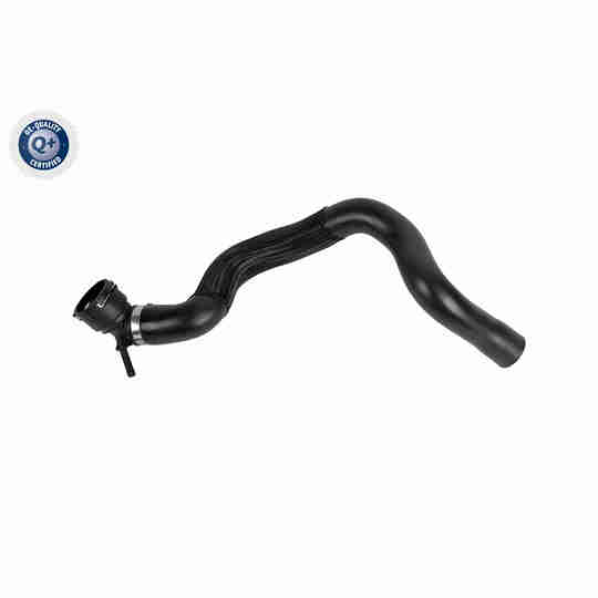 V10-8874 - Radiator Hose 