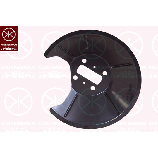 2532876 - Splash Panel, brake disc 