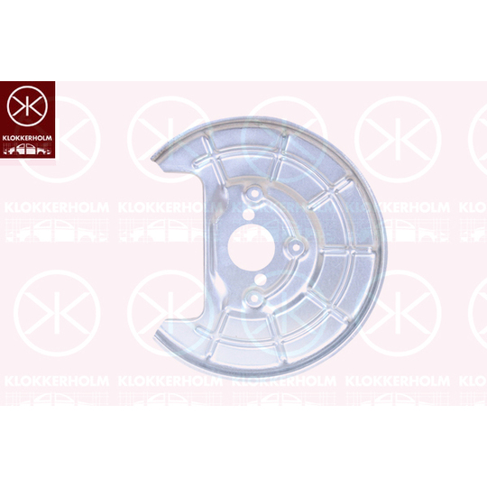 5025870 - Splash Panel, brake disc 