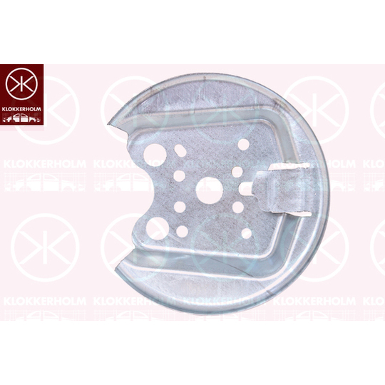 5508879 - Splash Panel, brake disc 