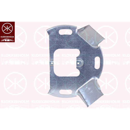 3080379 - Splash Panel, brake disc 