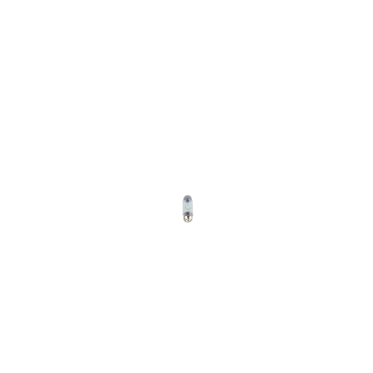 1 987 301 509 - Bulb, boot light 