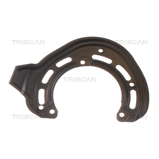 8125 24118 - Splash Panel, brake disc 