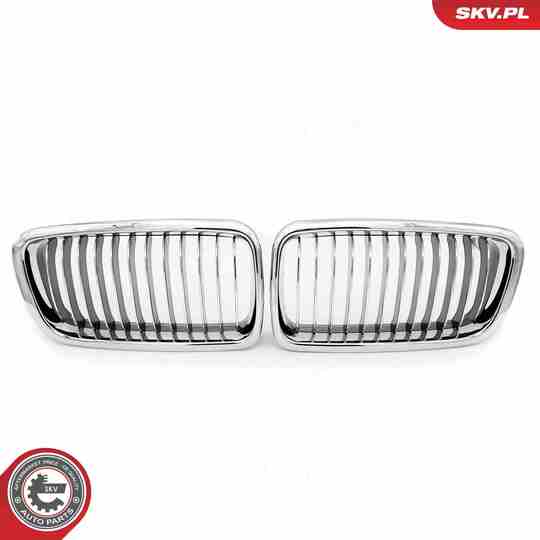 66SKV215 - Radiator Grille 