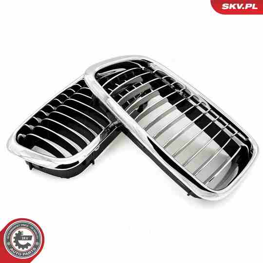 66SKV215 - Radiator Grille 