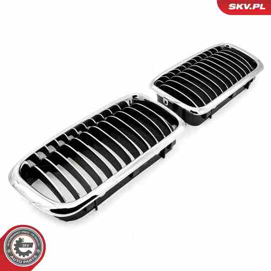 66SKV215 - Radiator Grille 