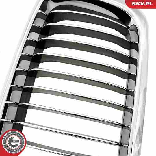 66SKV215 - Radiator Grille 