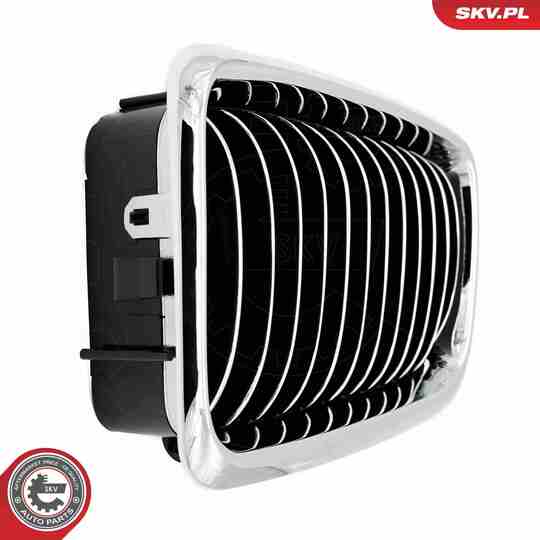 66SKV215 - Radiator Grille 