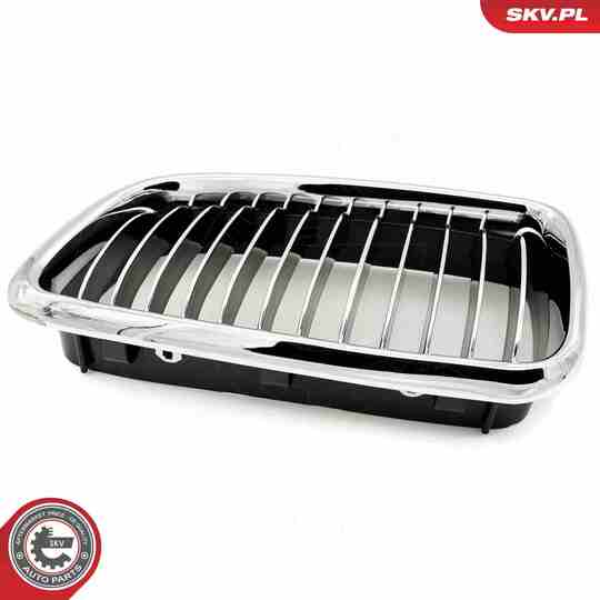 66SKV215 - Radiator Grille 