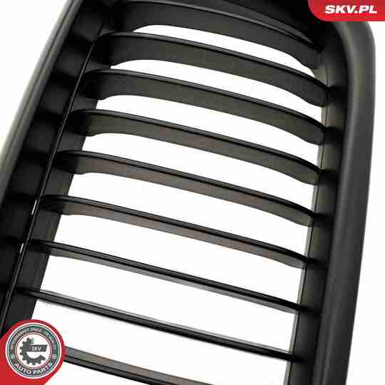 66SKV213 - Radiator Grille 