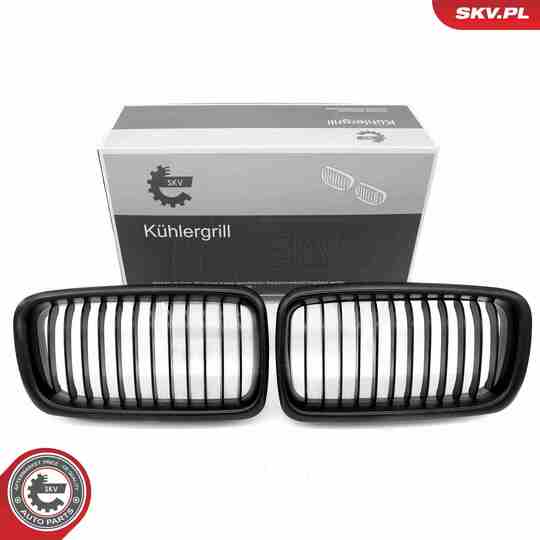 66SKV213 - Radiator Grille 