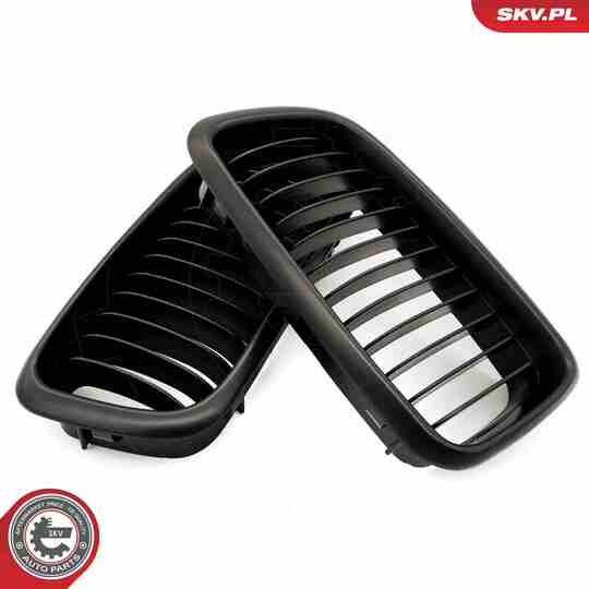 66SKV213 - Radiator Grille 