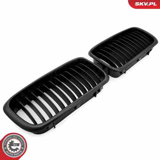 66SKV213 - Radiator Grille 