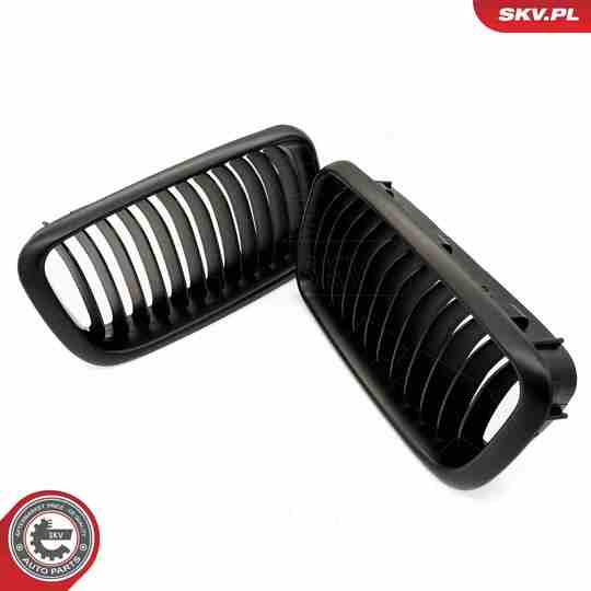 66SKV213 - Radiator Grille 