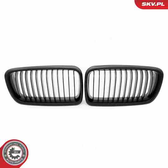 66SKV213 - Radiator Grille 