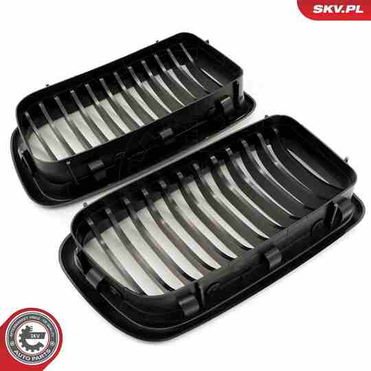 66SKV213 - Radiator Grille 