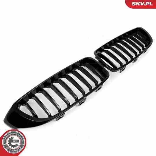 66SKV149 - Radiator Grille 