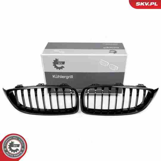 66SKV149 - Radiator Grille 