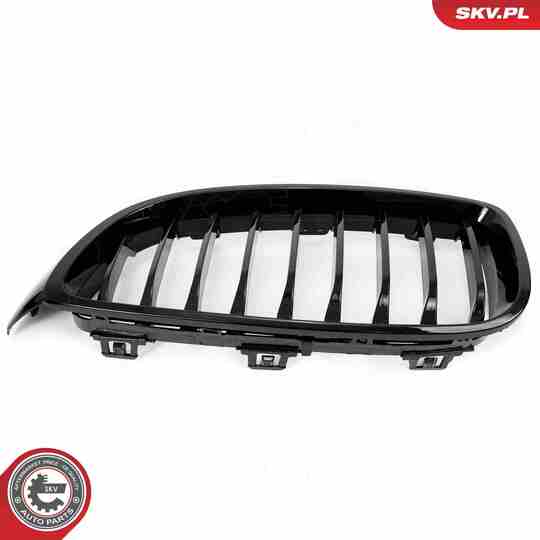 66SKV149 - Radiator Grille 