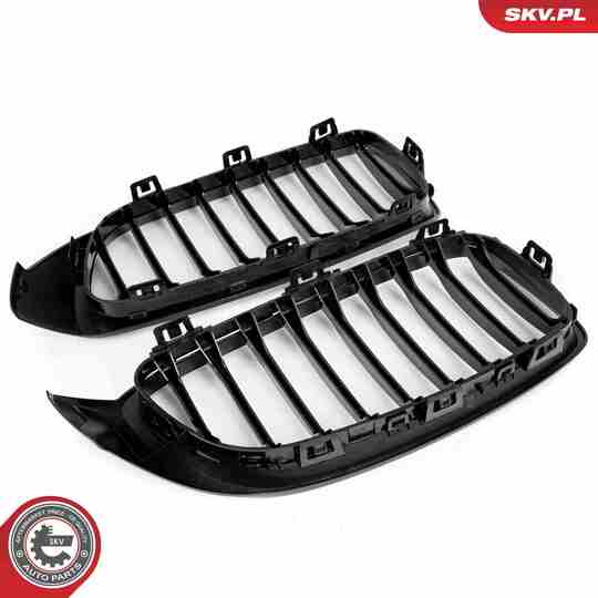 66SKV149 - Radiator Grille 