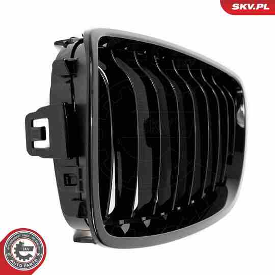 66SKV149 - Radiator Grille 