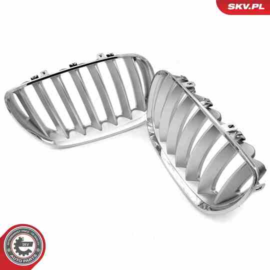 66SKV279 - Radiator Grille 