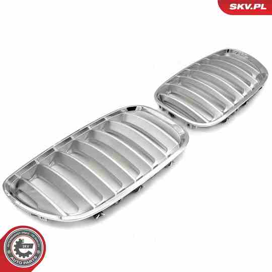 66SKV279 - Radiator Grille 