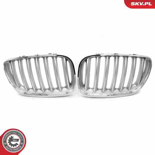 66SKV279 - Radiator Grille 